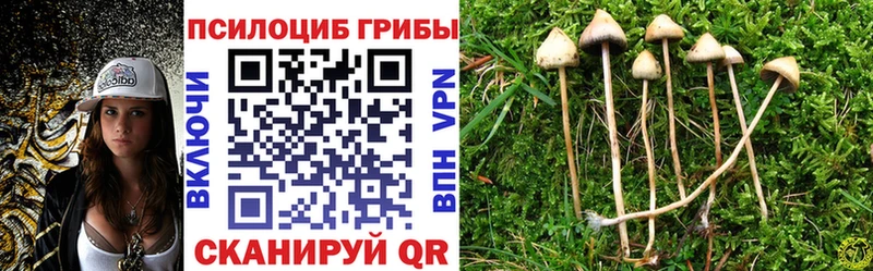 Купить закладки  Анива  Галлюциногенные грибы прущие грибы 