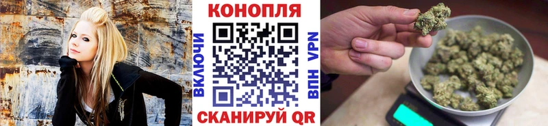 Купить  Анива  Канабис индика 